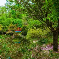 Gradina Botanica Alexandru Borza