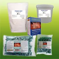 Combaterea plosnitelor nu mai este o problema! Solutia eficienta pentru a scapa definitiv de daunatori