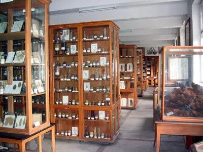 Muzeul Botanic Alexandru Borza