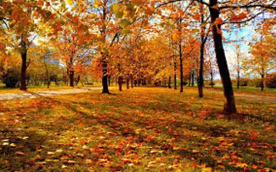 Parcul Iuliu Hateganu (Parcul Babes)