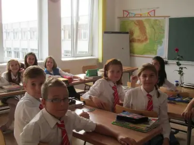 Scoala Gimnaziala Elf