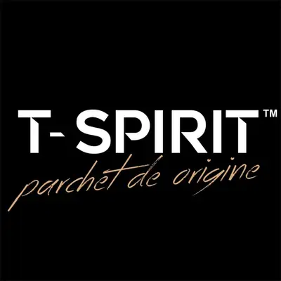 Transilvania Spirit