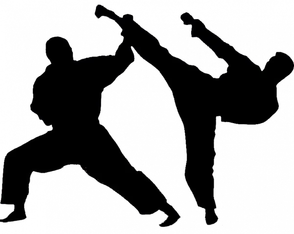 Campionatul European de Karate WUKF