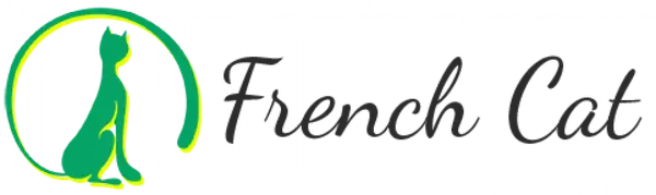 Cursuri de franceza in Cluj