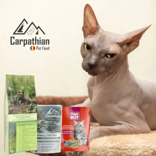 Rase diferite de pisici și alimentație diferită?