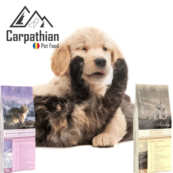 Distribuitori mancare caini si pisici