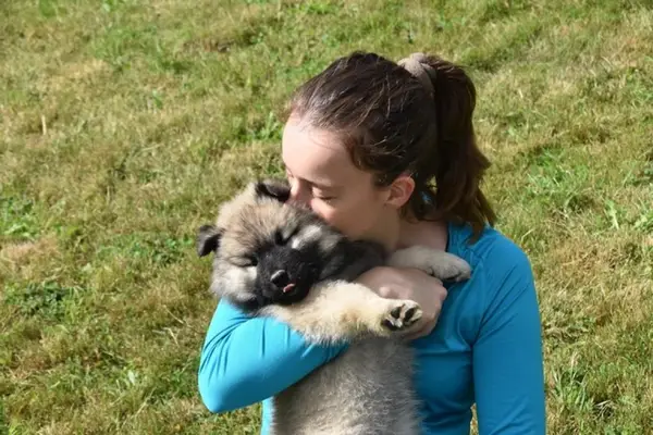 10 lucruri importante de stiut inainte de a va lua un caine