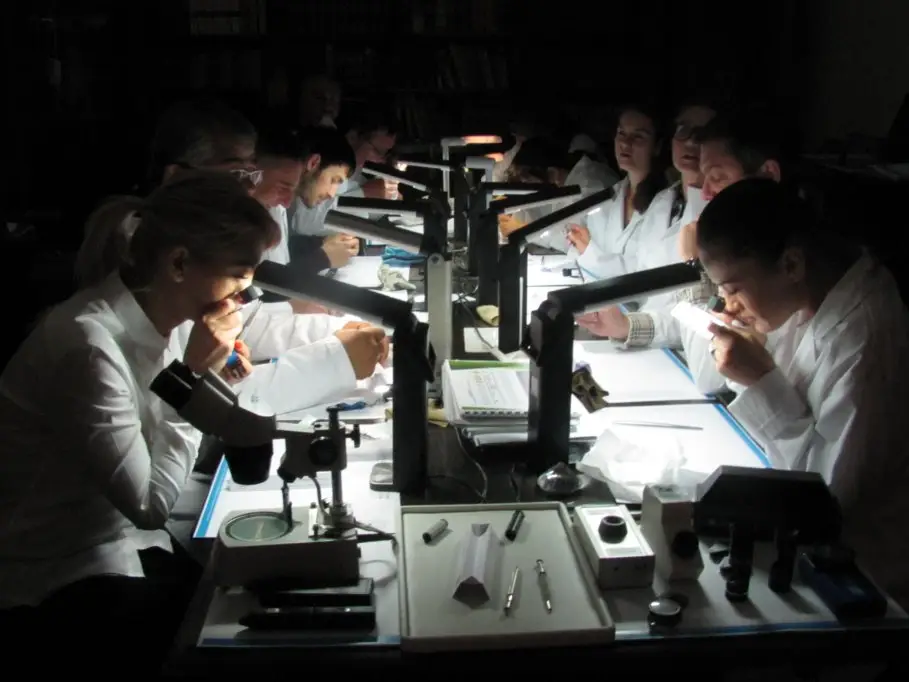 Expertizarea si evaluarea diamantelor - Despre gemologie şi gemologi